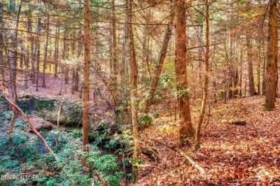 Residential Land For Sale in Allardt, Tennessee