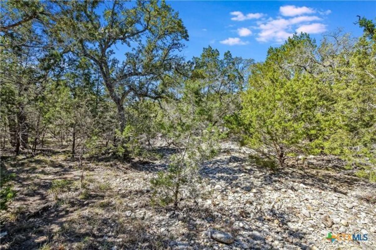 Picture of Residential Land For Sale in Wimberley, Texas, United States