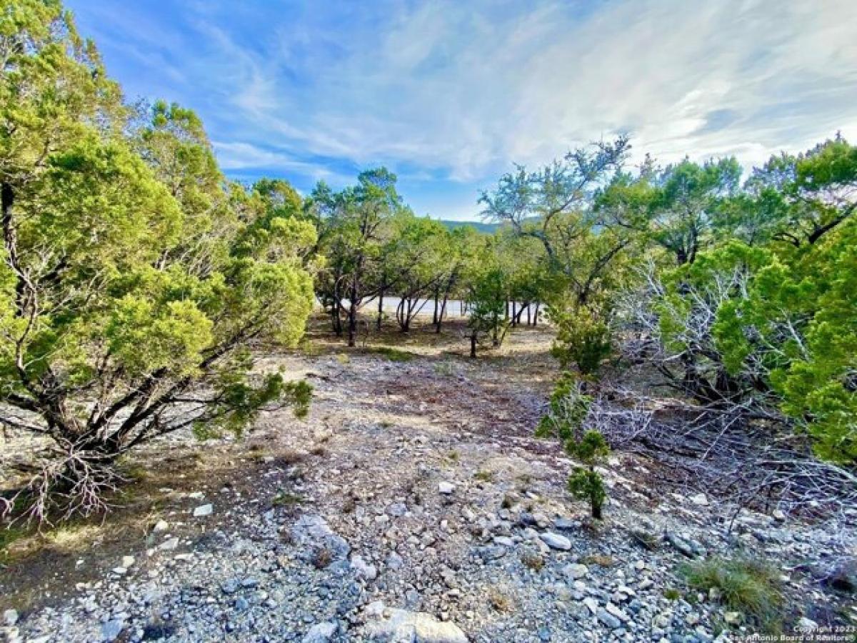 Picture of Residential Land For Sale in Mico, Texas, United States