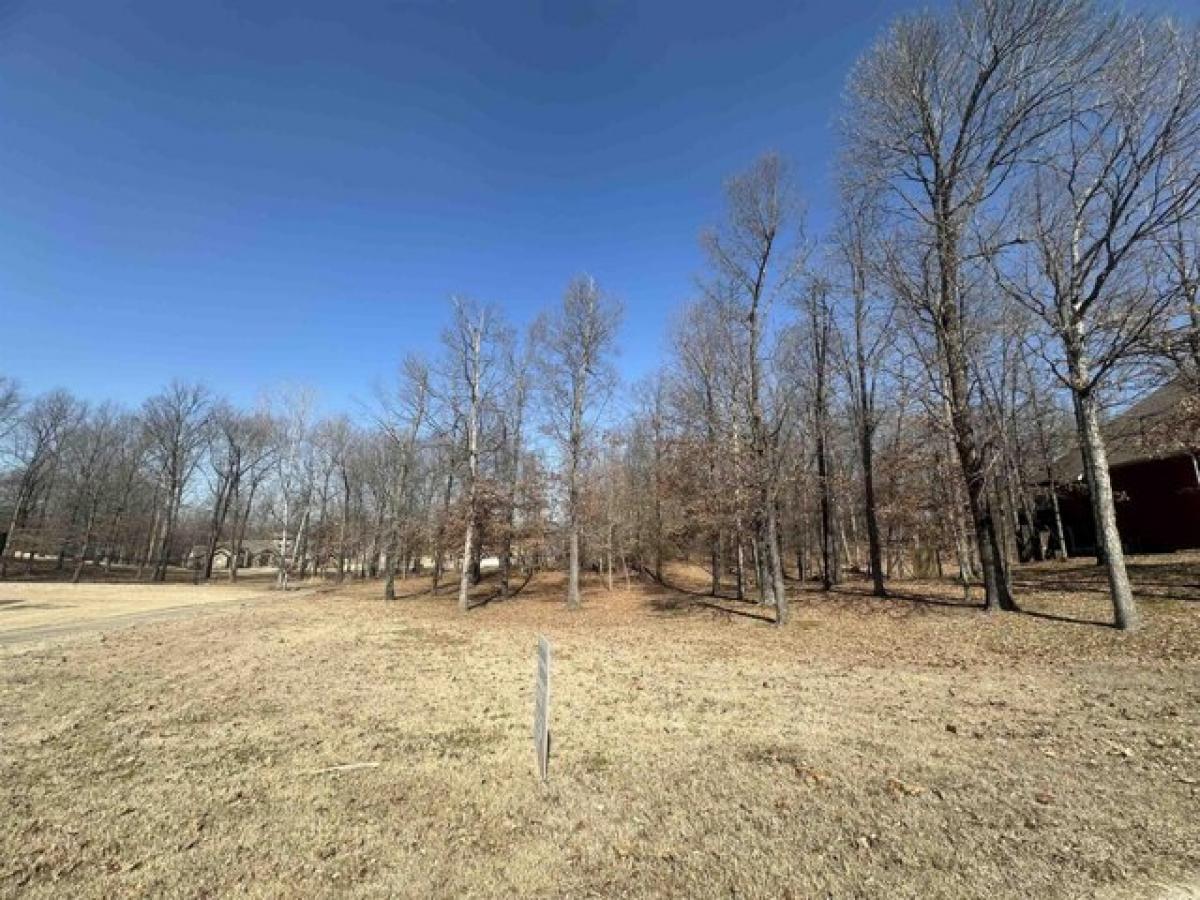 Picture of Residential Land For Sale in Paragould, Arkansas, United States