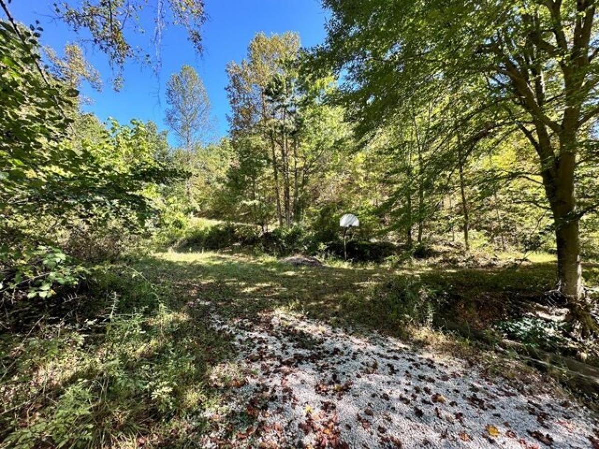 Picture of Home For Sale in South Shore, Kentucky, United States