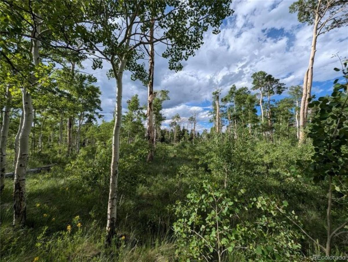 Picture of Residential Land For Sale in Fort Garland, Colorado, United States