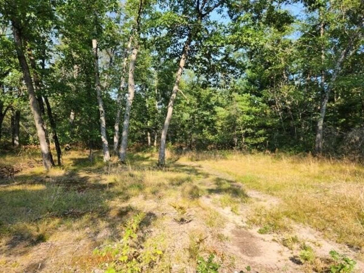 Picture of Residential Land For Sale in Idlewild, Michigan, United States