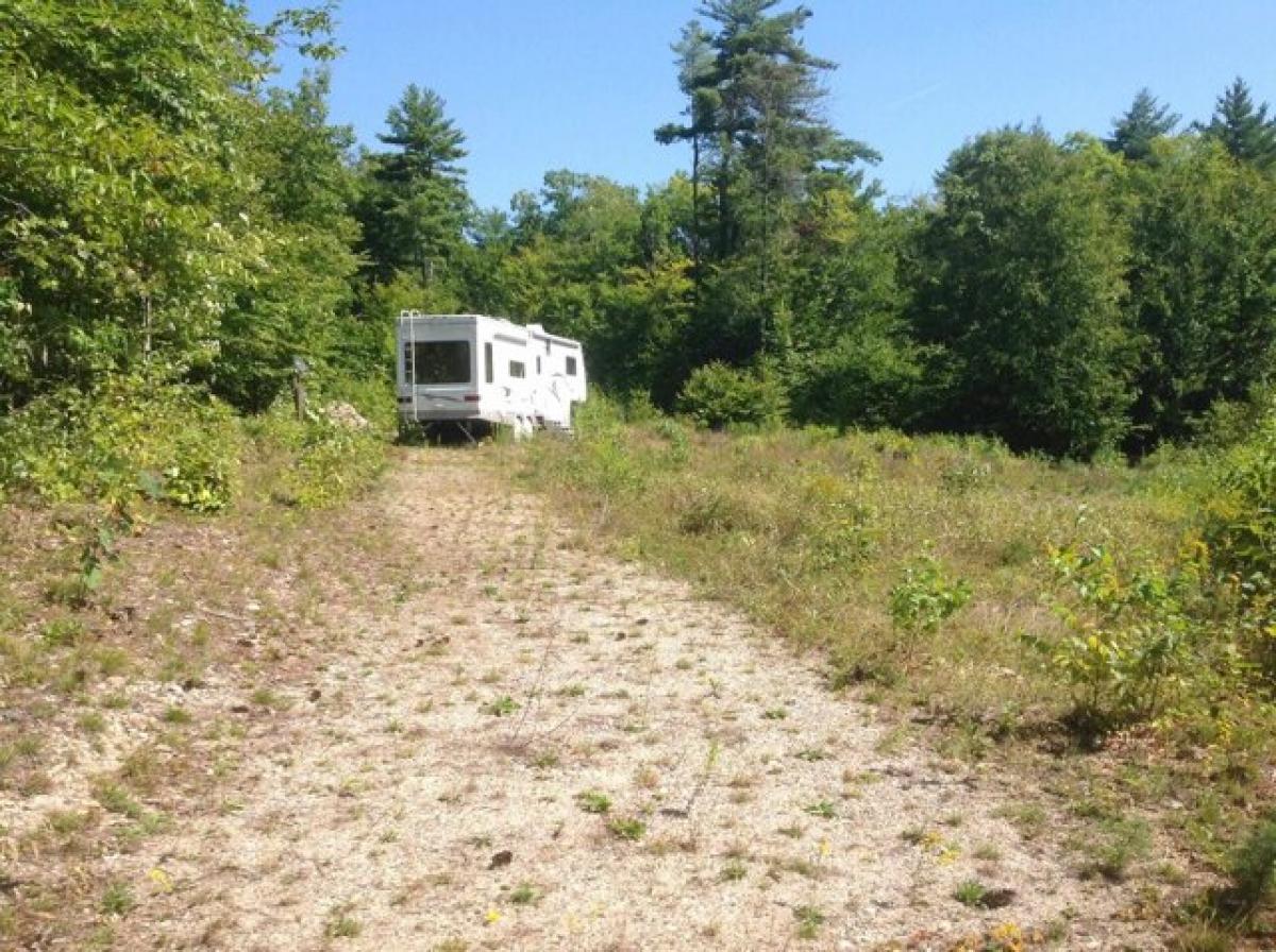 Picture of Residential Land For Sale in Effingham, New Hampshire, United States