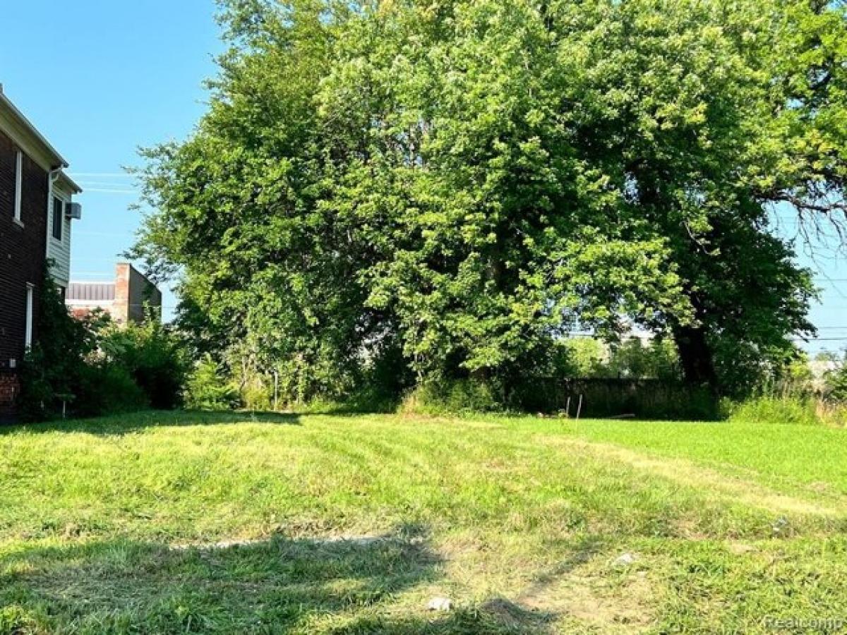 Picture of Residential Land For Rent in Detroit, Michigan, United States