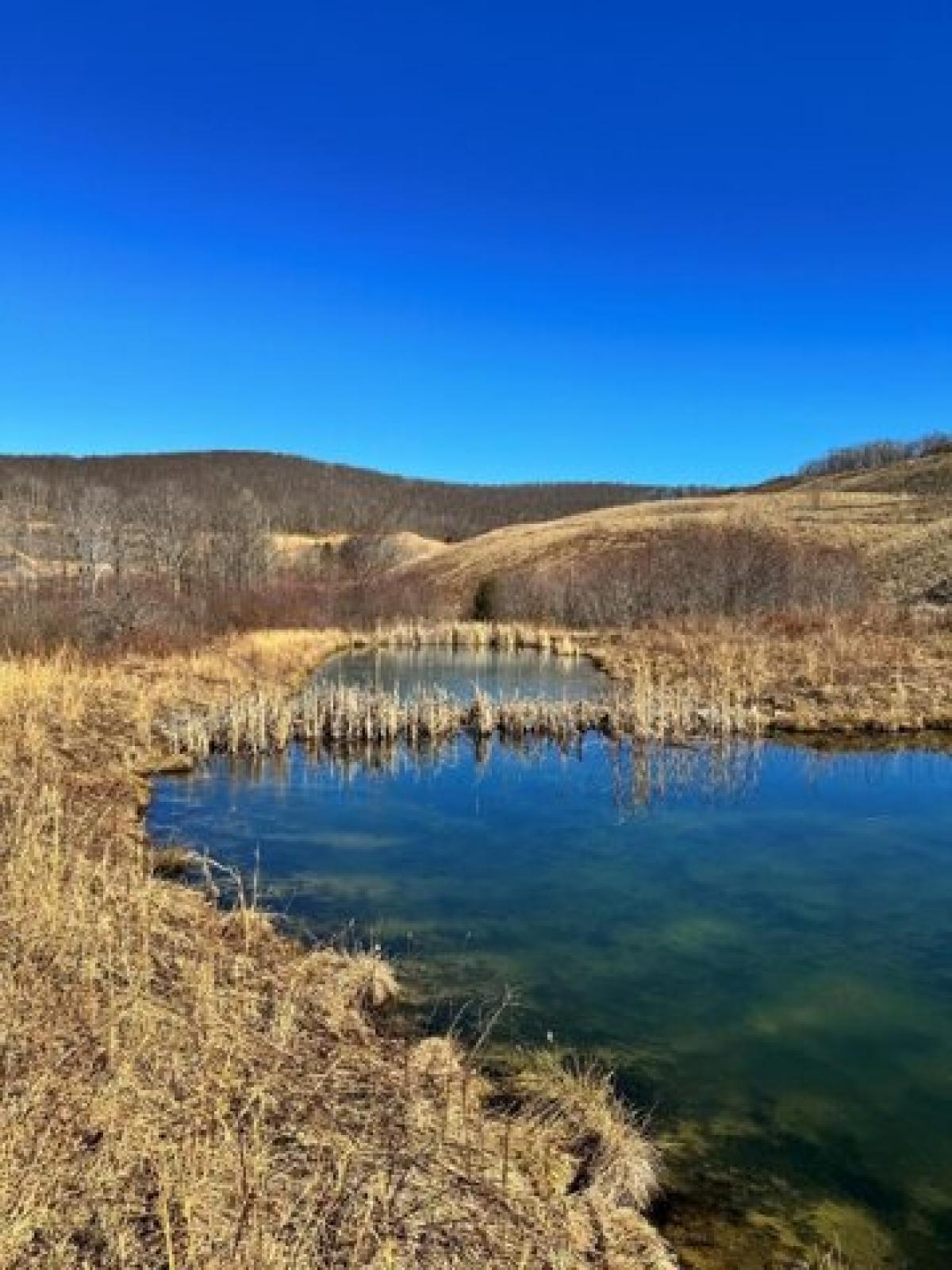 Picture of Residential Land For Sale in Rupert, West Virginia, United States