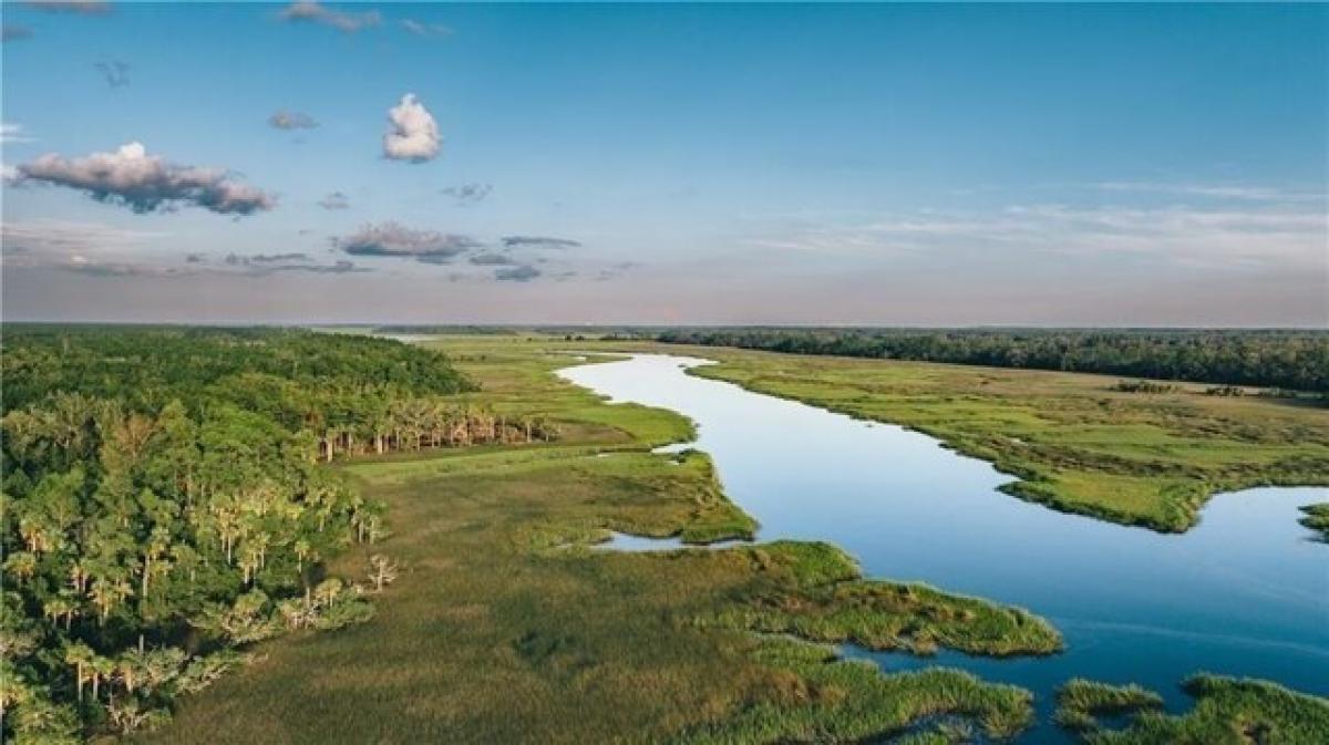 Picture of Residential Land For Sale in Brunswick, Georgia, United States