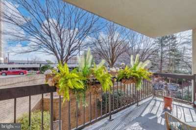 Apartment For Rent in Arlington, Virginia