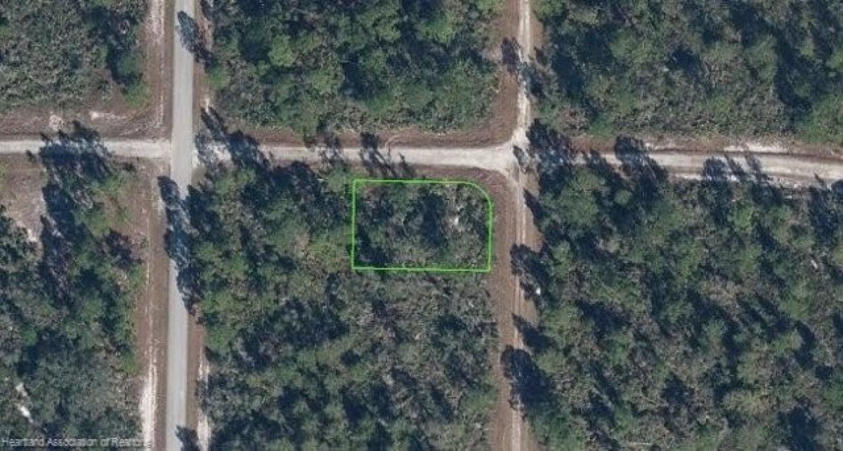 Picture of Residential Land For Sale in Lake Placid, Florida, United States