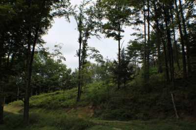 Residential Land For Sale in Wallingford, Vermont