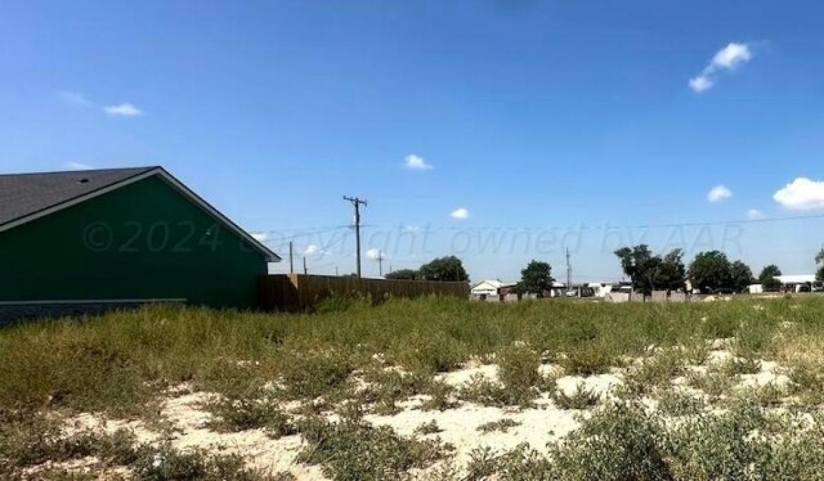 Picture of Residential Land For Sale in Cactus, Texas, United States