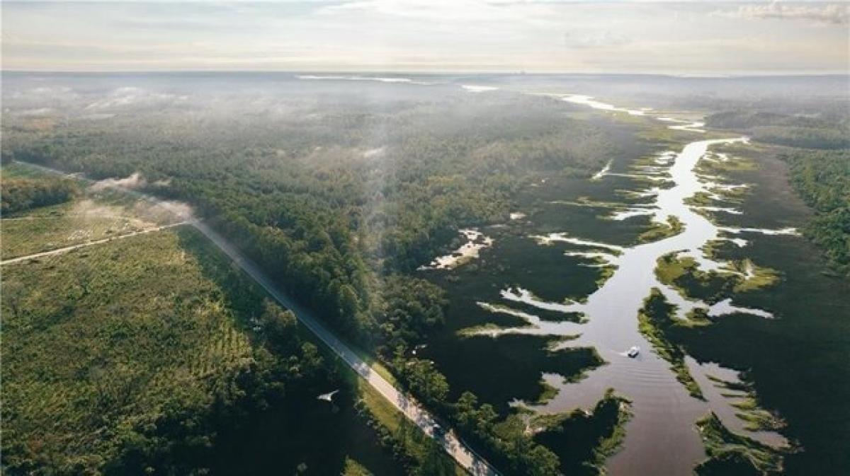 Picture of Residential Land For Sale in Brunswick, Georgia, United States