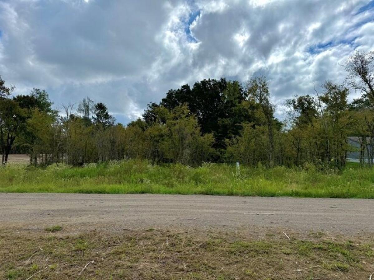 Picture of Residential Land For Sale in Gun Barrel City, Texas, United States