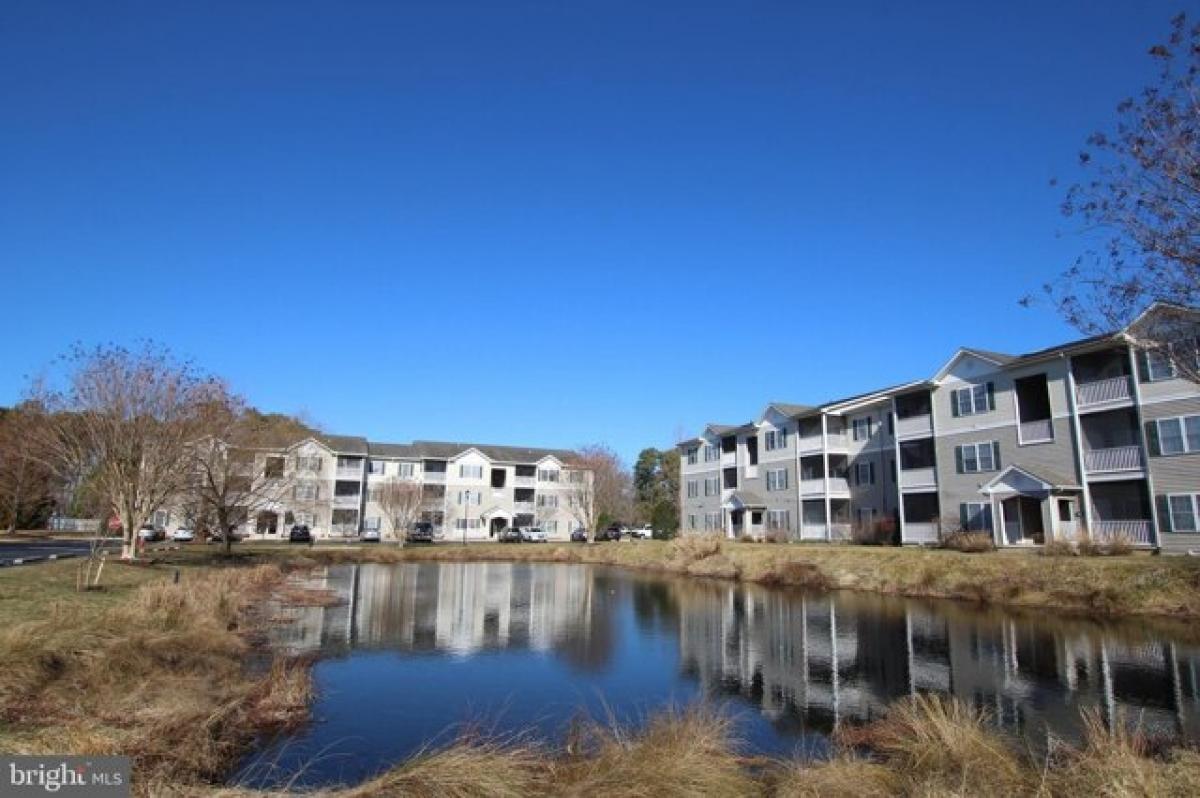 Picture of Apartment For Rent in Rehoboth Beach, Delaware, United States