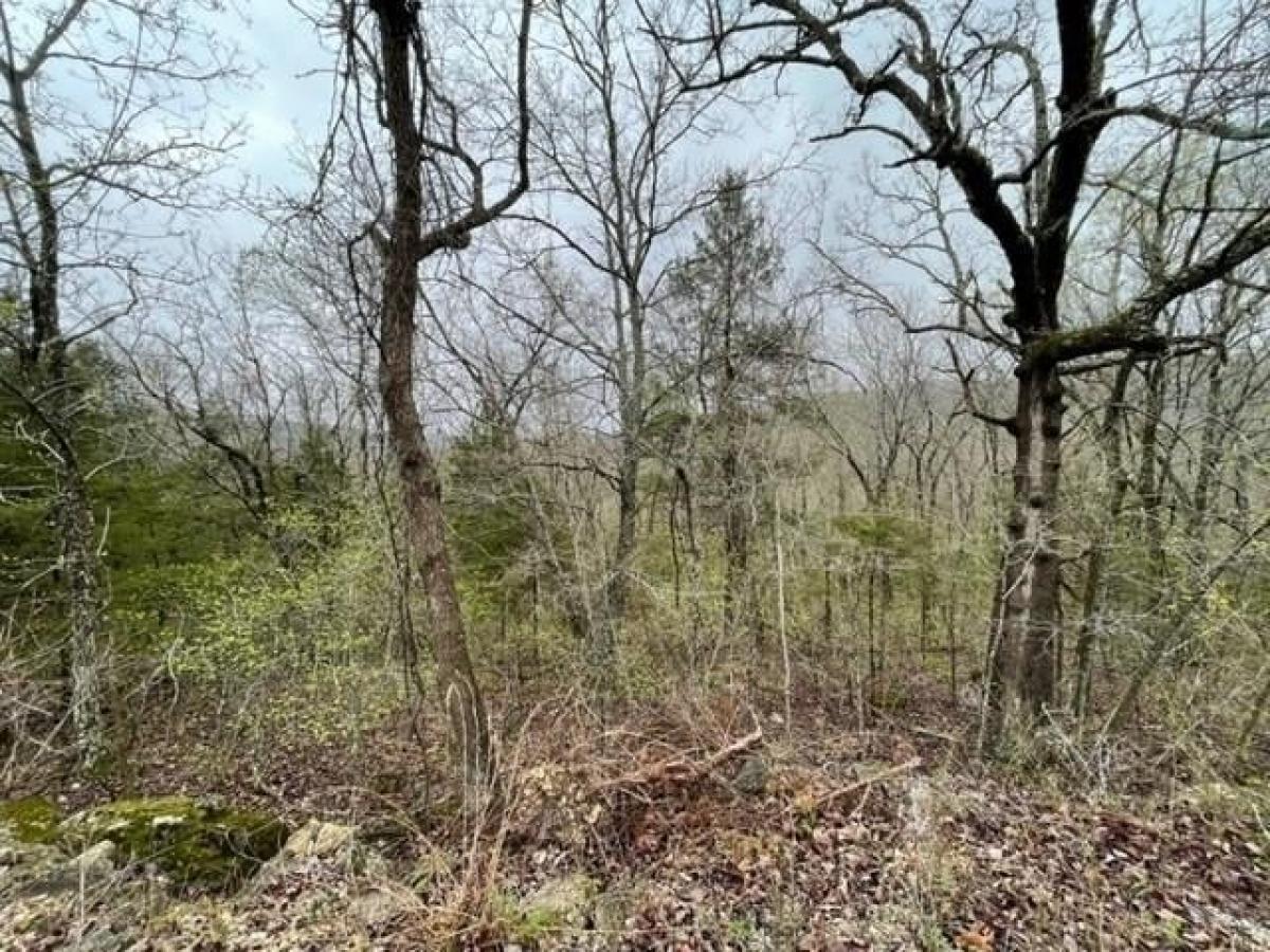 Picture of Residential Land For Rent in Holiday Island, Arkansas, United States