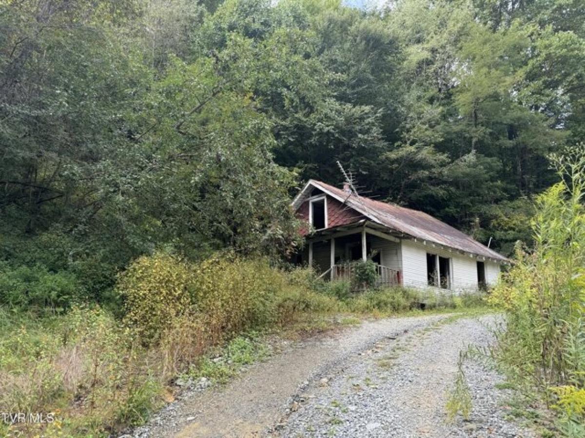 Picture of Residential Land For Sale in Roan Mountain, Tennessee, United States