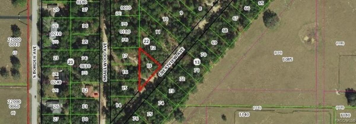 Picture of Residential Land For Sale in Inverness, Florida, United States