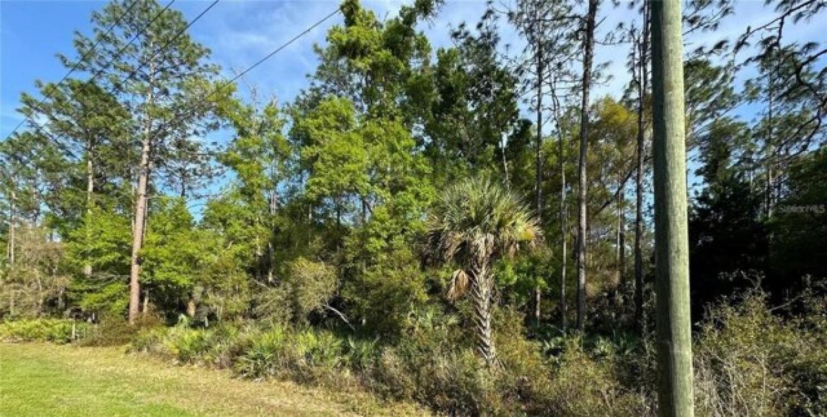 Picture of Residential Land For Sale in Crystal River, Florida, United States