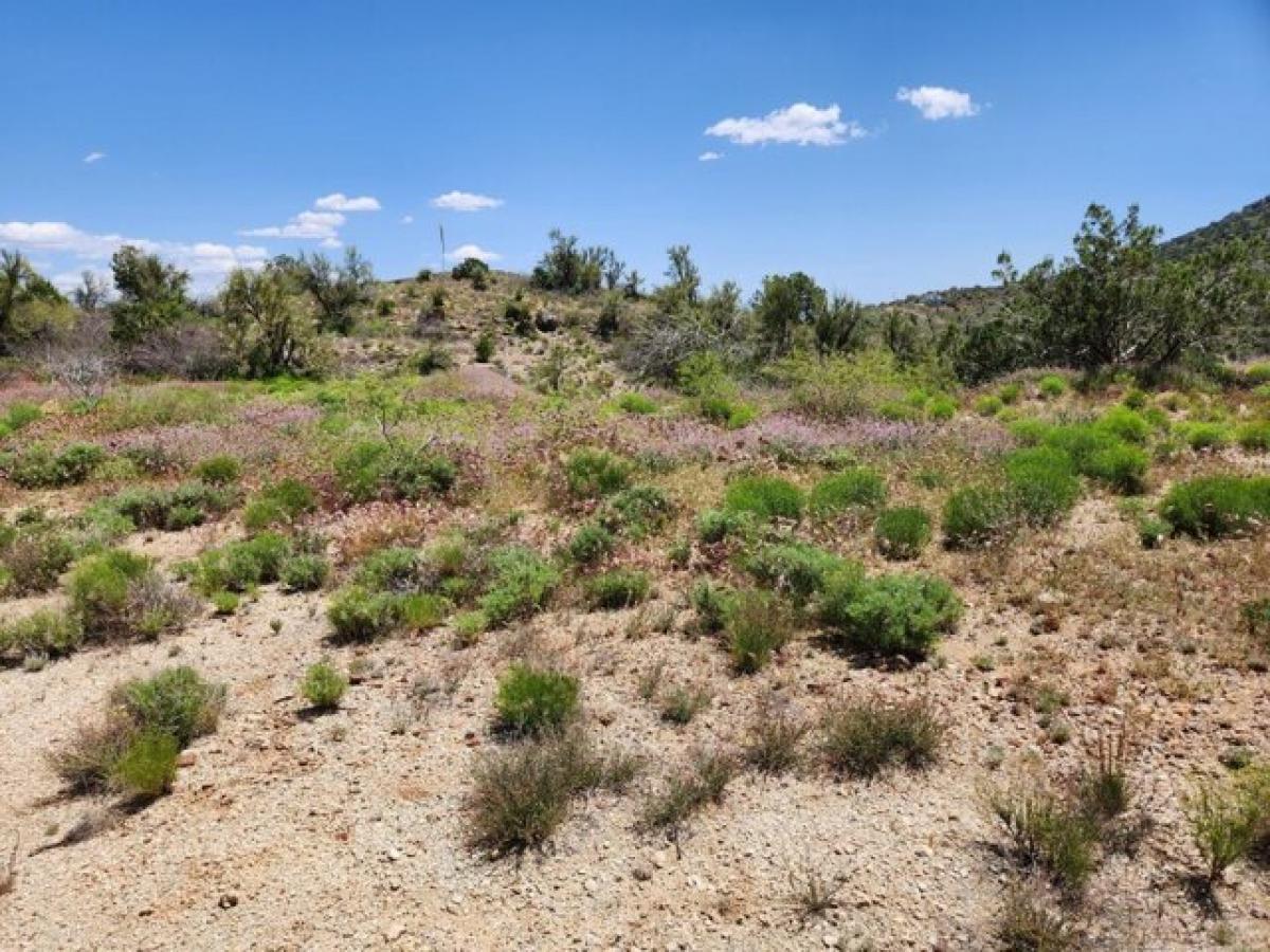 Picture of Residential Land For Sale in Globe, Arizona, United States