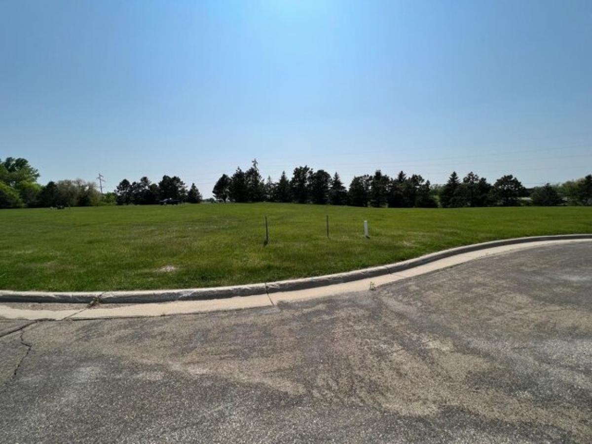 Picture of Residential Land For Sale in Albert Lea, Minnesota, United States