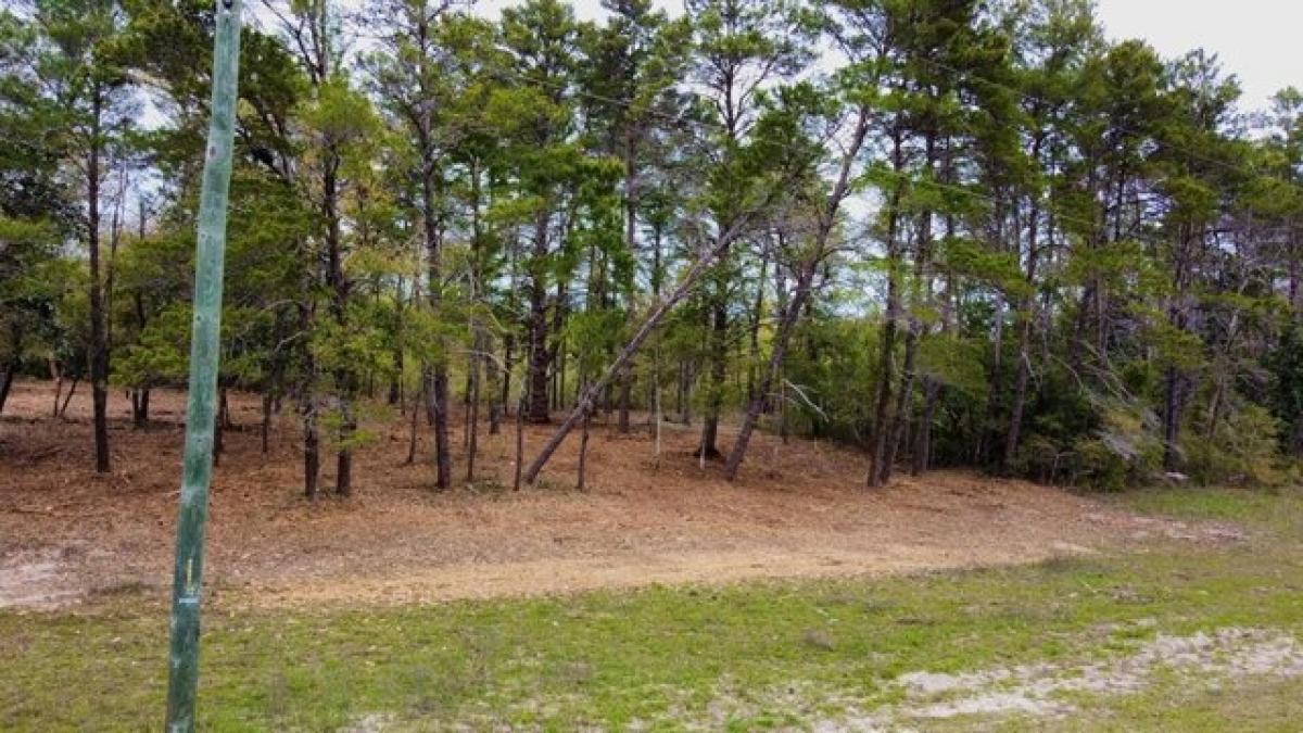 Picture of Residential Land For Sale in Lanark Village, Florida, United States