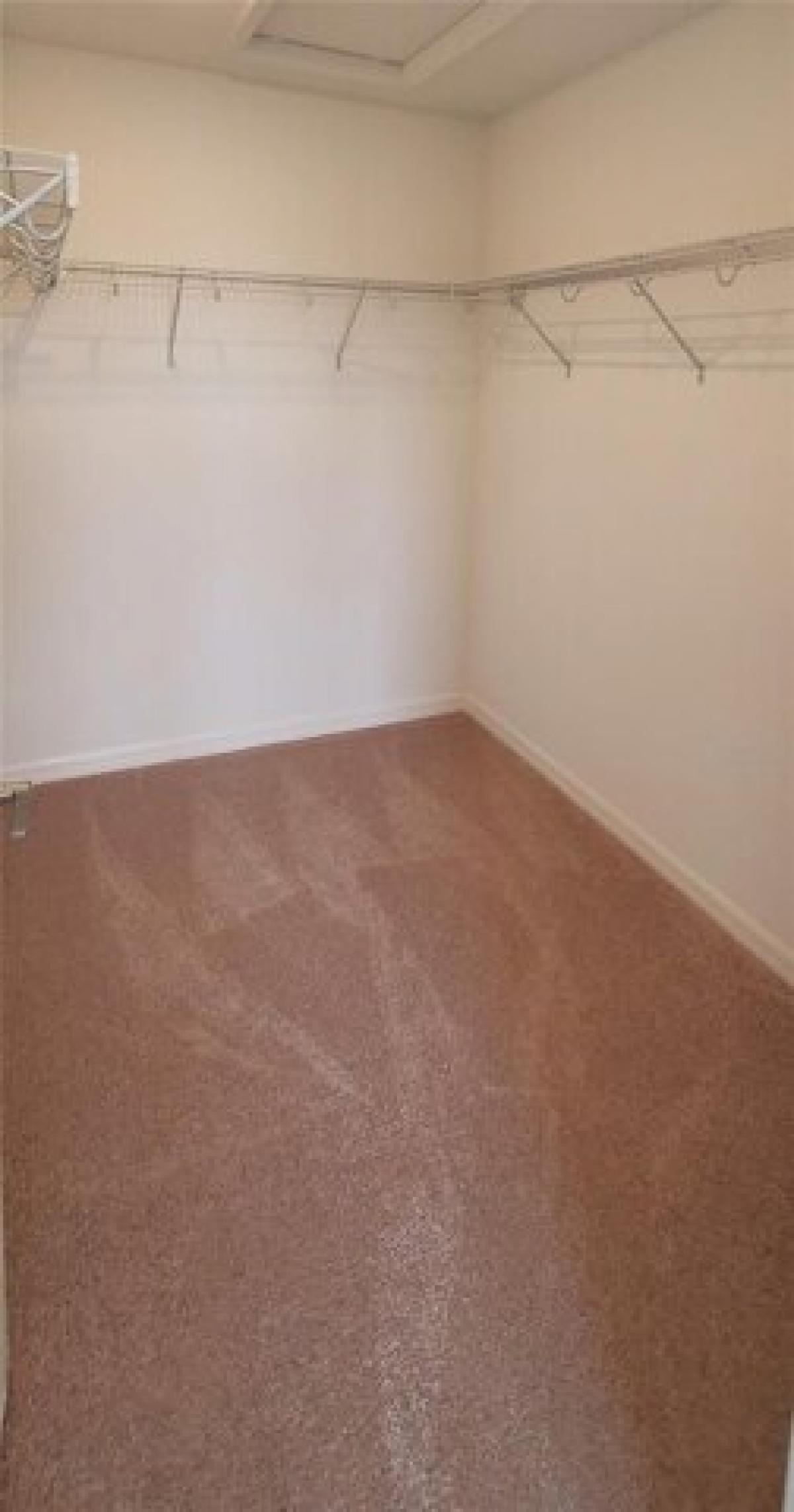 Picture of Home For Rent in Wesley Chapel, Florida, United States