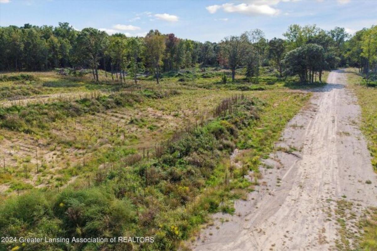 Picture of Residential Land For Sale in Perry, Michigan, United States