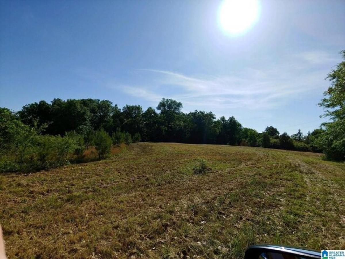 Picture of Residential Land For Sale in Clanton, Alabama, United States