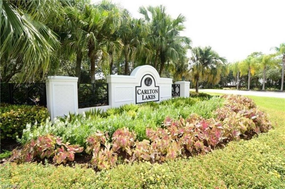 Picture of Apartment For Rent in Naples, Florida, United States