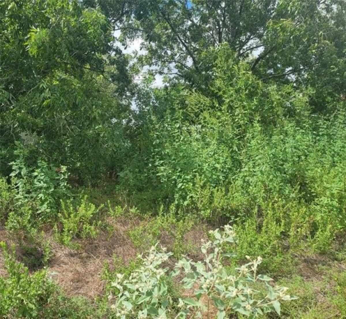 Picture of Residential Land For Sale in Elgin, Texas, United States