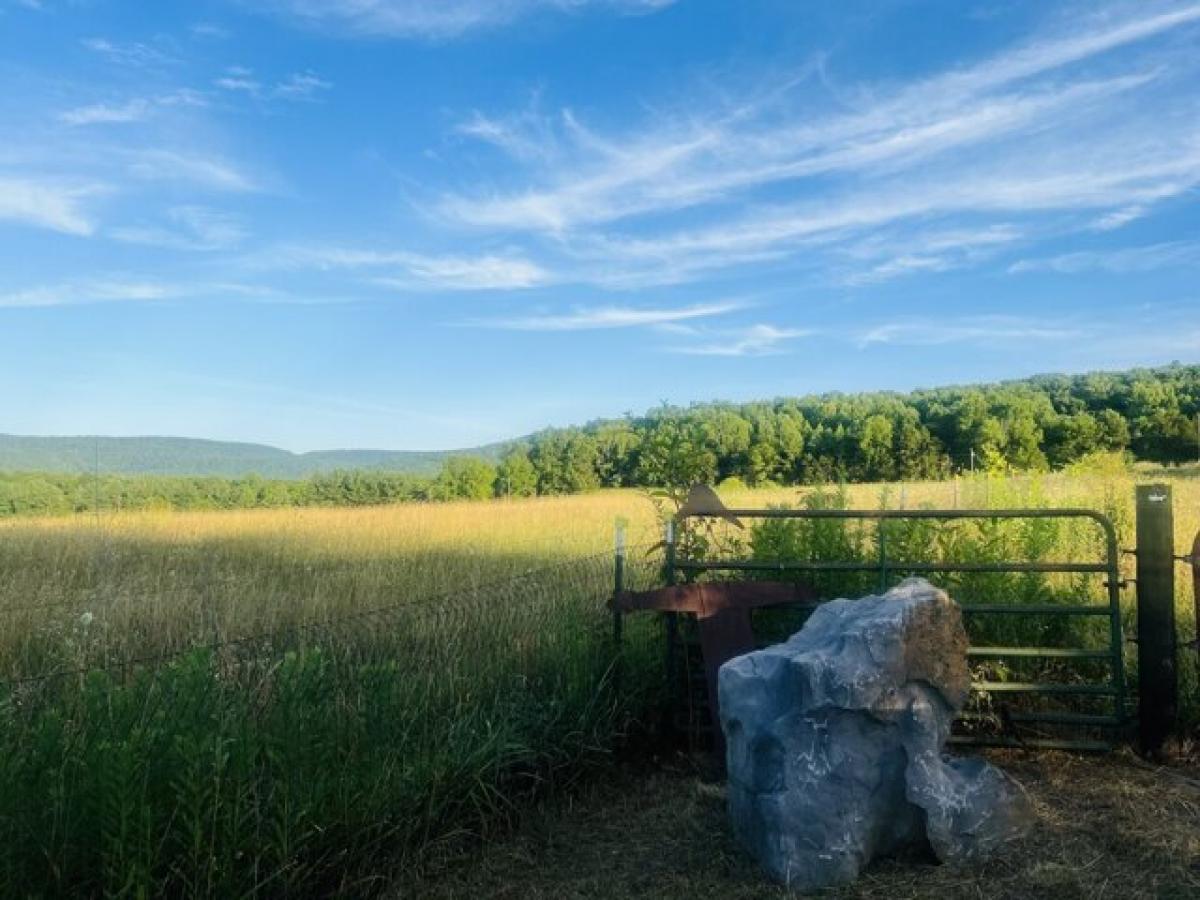 Picture of Residential Land For Sale in Morrison, Tennessee, United States