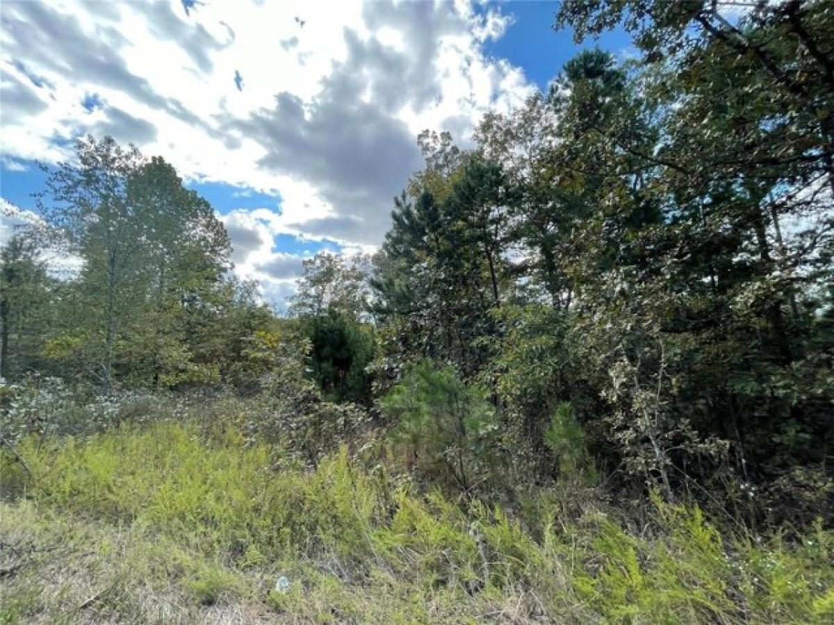 Picture of Residential Land For Sale in Poplar Bluff, Missouri, United States