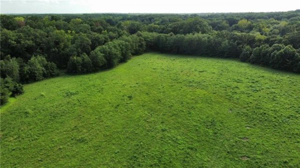 Picture of Residential Land For Sale in Clinton, Missouri, United States