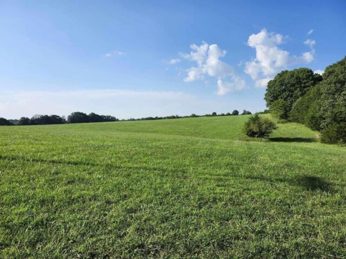 Picture of Residential Land For Sale in Grovespring, Missouri, United States