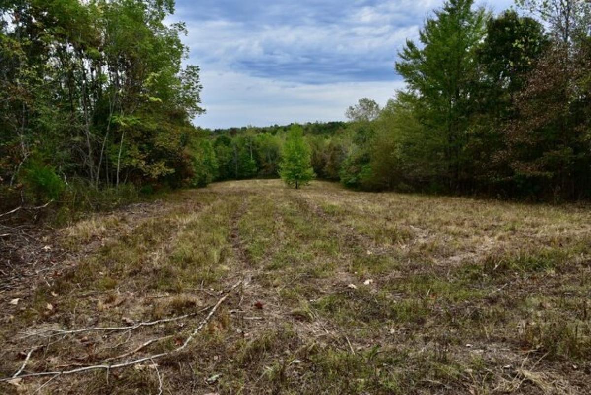 Picture of Residential Land For Sale in Waverly, Tennessee, United States