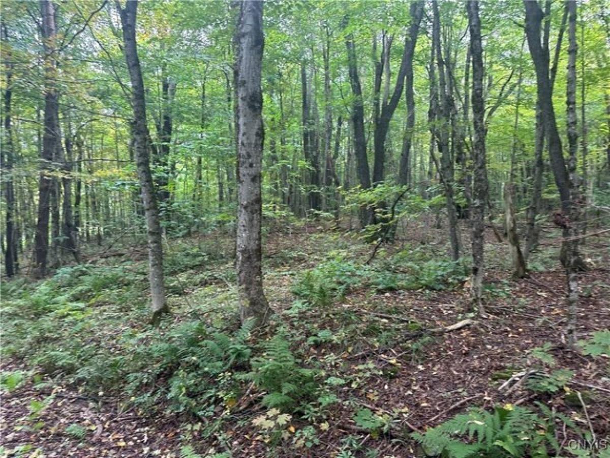 Picture of Residential Land For Sale in Lorraine, New York, United States