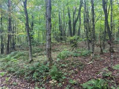 Residential Land For Sale in Lorraine, New York