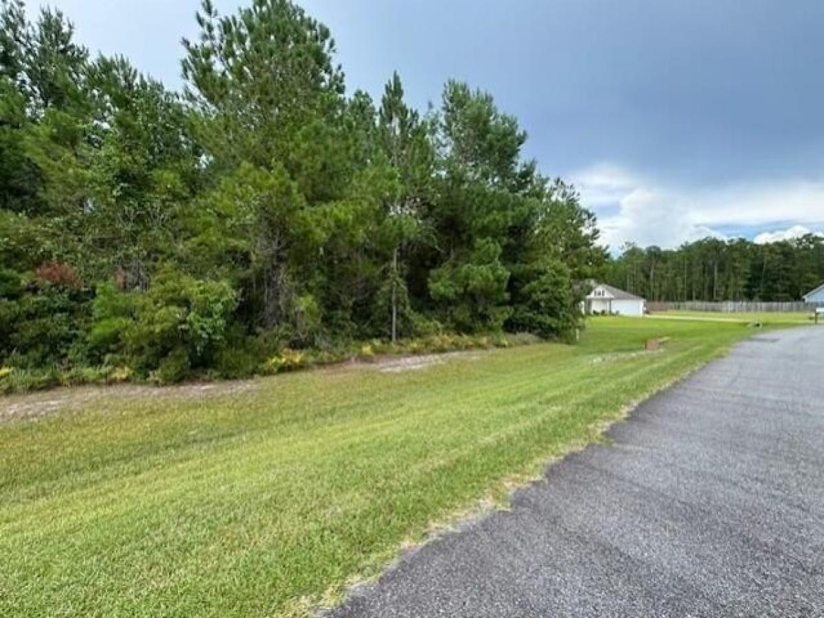 Picture of Residential Land For Sale in Valdosta, Georgia, United States