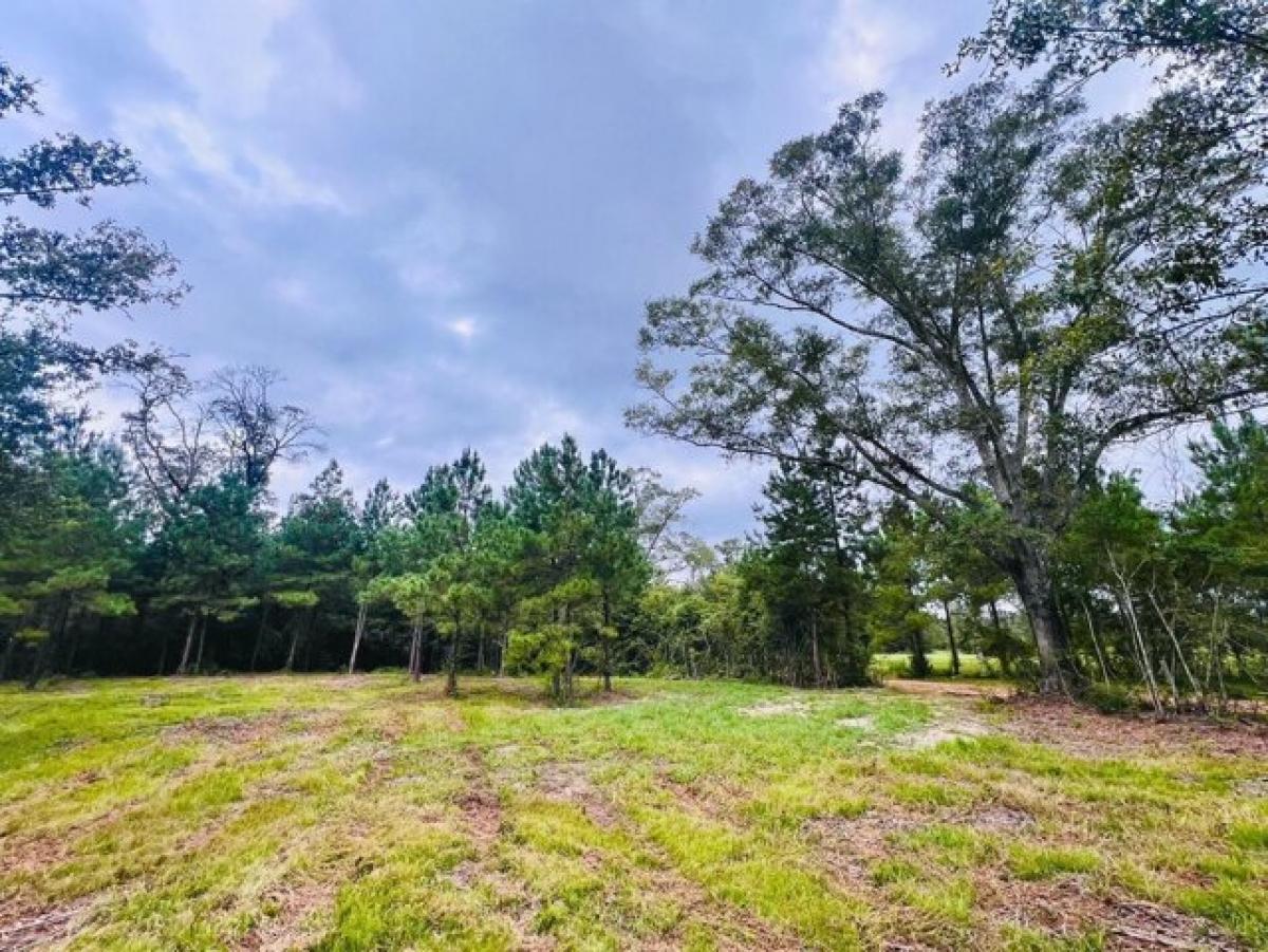 Picture of Residential Land For Sale in Poplarville, Mississippi, United States