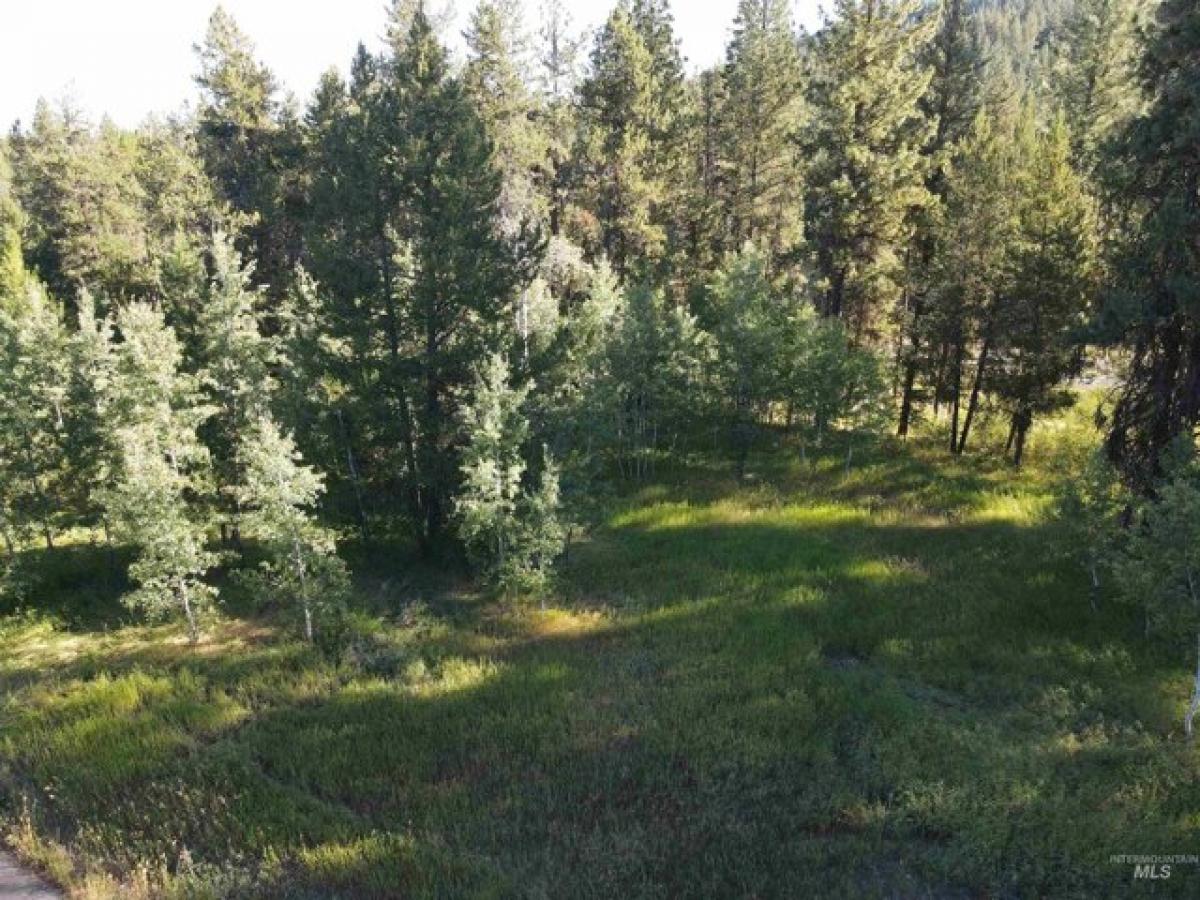 Picture of Residential Land For Sale in McCall, Idaho, United States