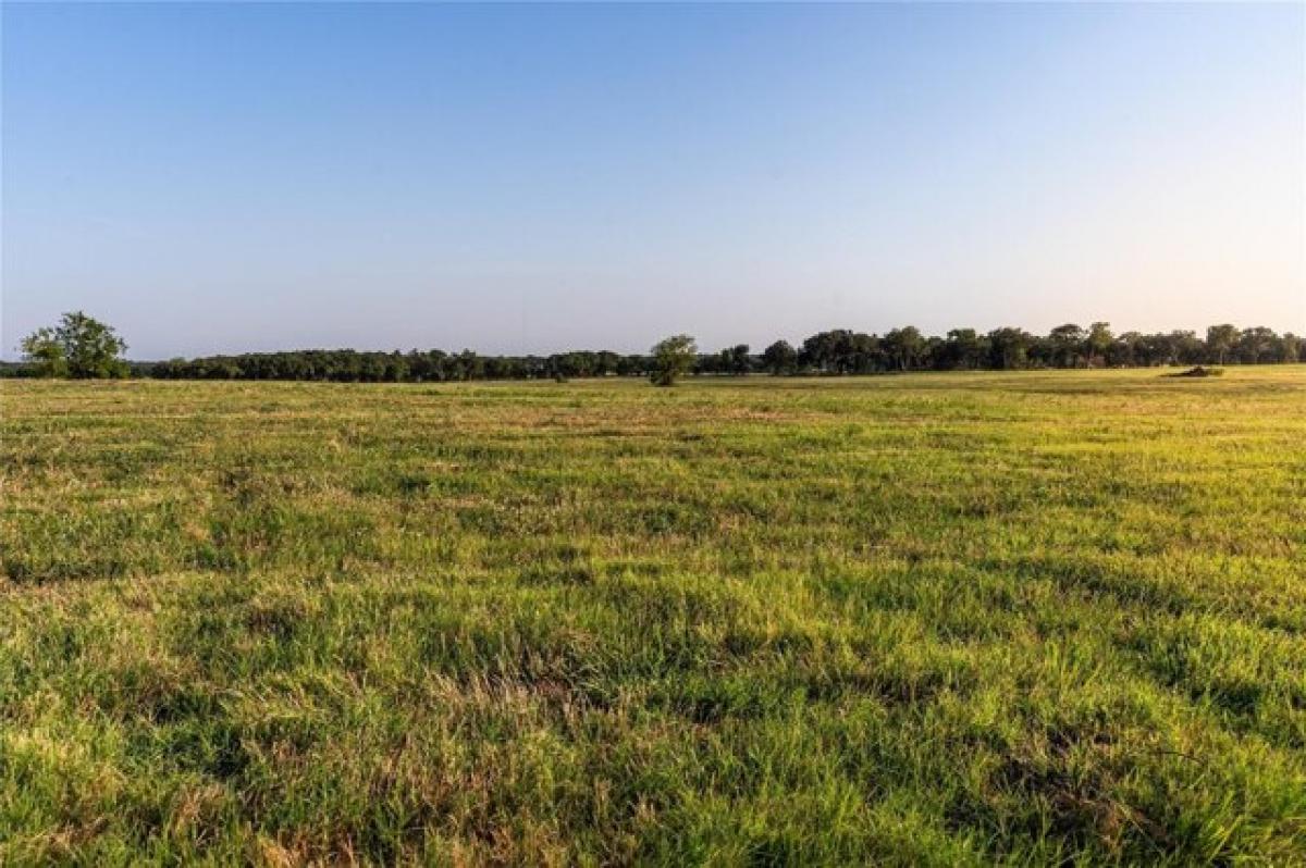 Picture of Residential Land For Sale in Whitesboro, Texas, United States