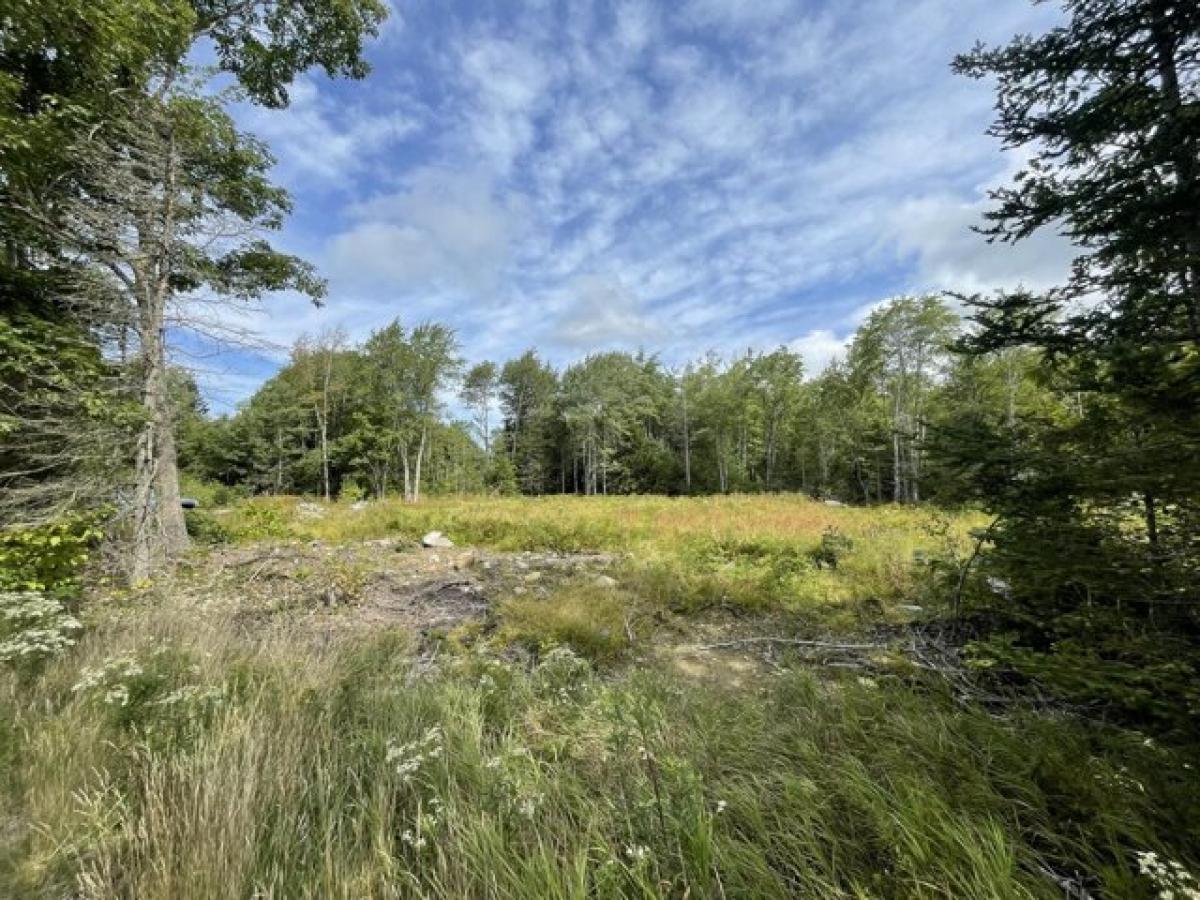 Picture of Residential Land For Sale in Blue Hill, Maine, United States