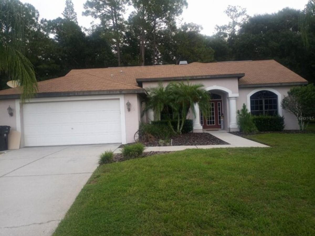 Picture of Home For Rent in New Port Richey, Florida, United States