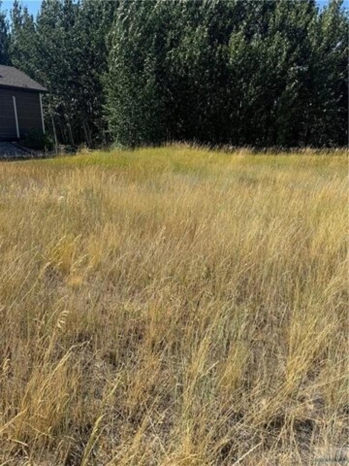 Picture of Residential Land For Sale in Red Lodge, Montana, United States