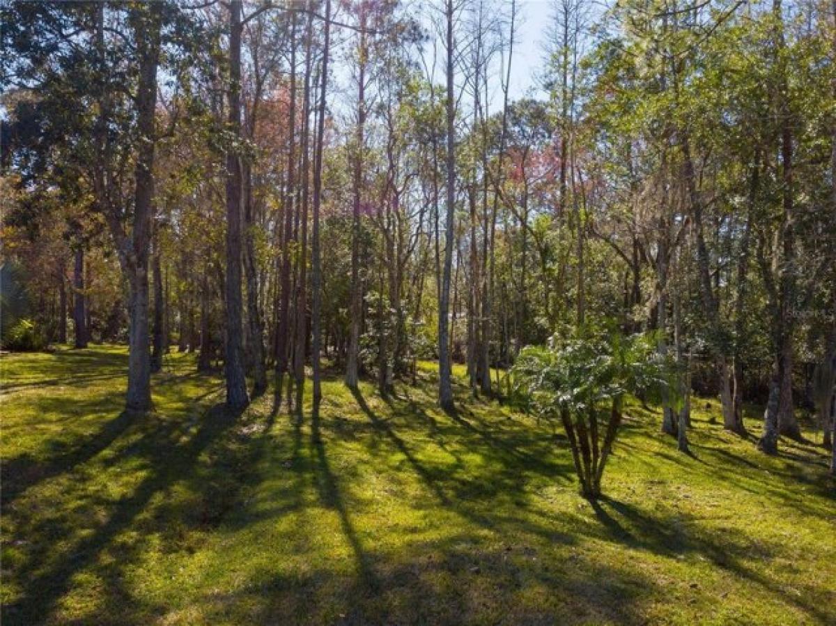 Picture of Residential Land For Sale in Tarpon Springs, Florida, United States