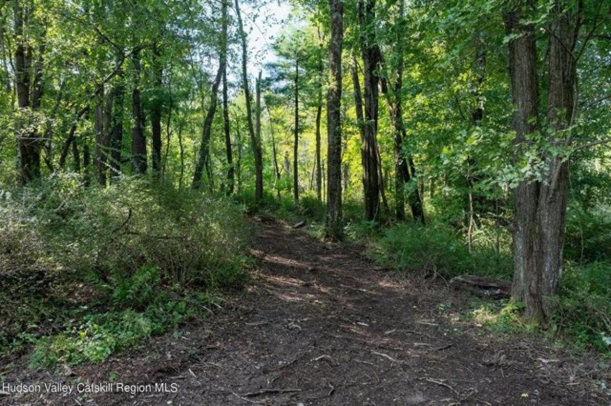 Picture of Residential Land For Sale in Saugerties, New York, United States