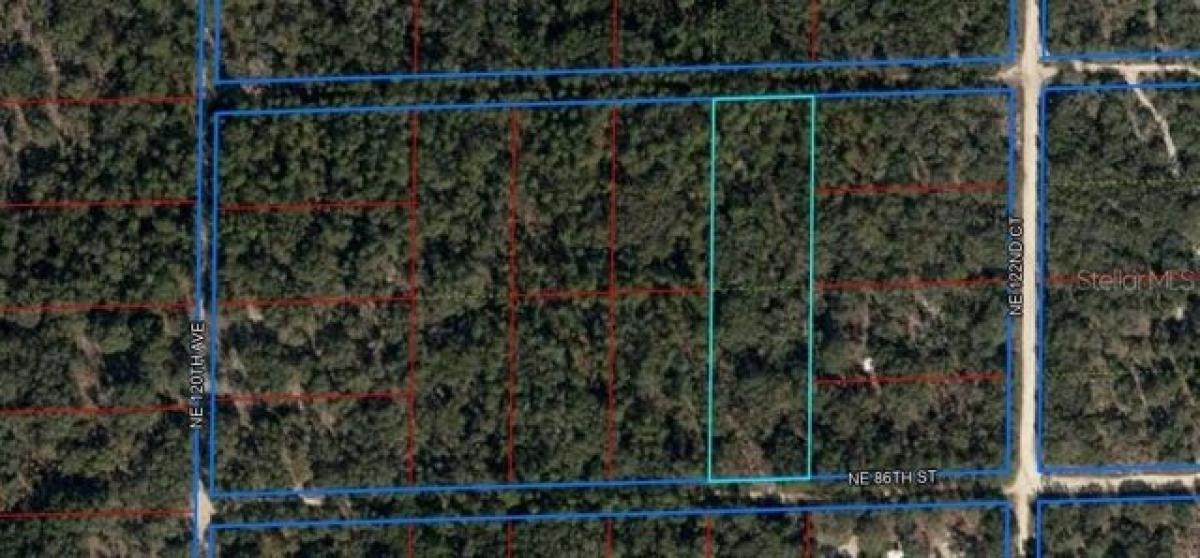 Picture of Residential Land For Sale in Bronson, Florida, United States