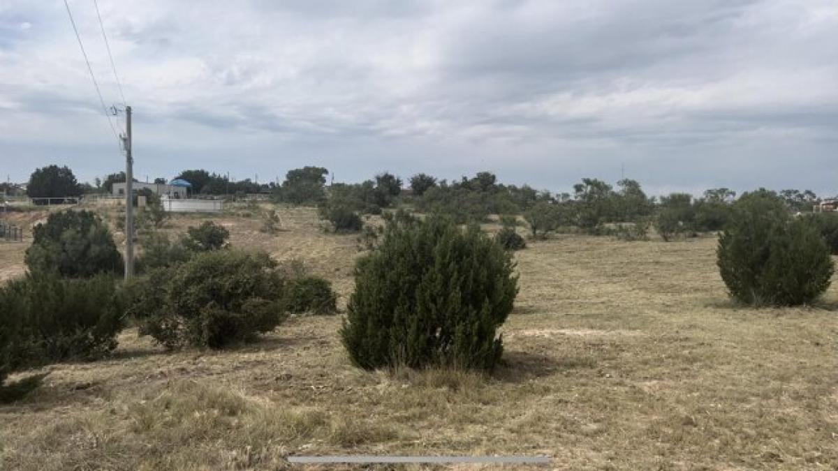 Picture of Residential Land For Sale in Amarillo, Texas, United States