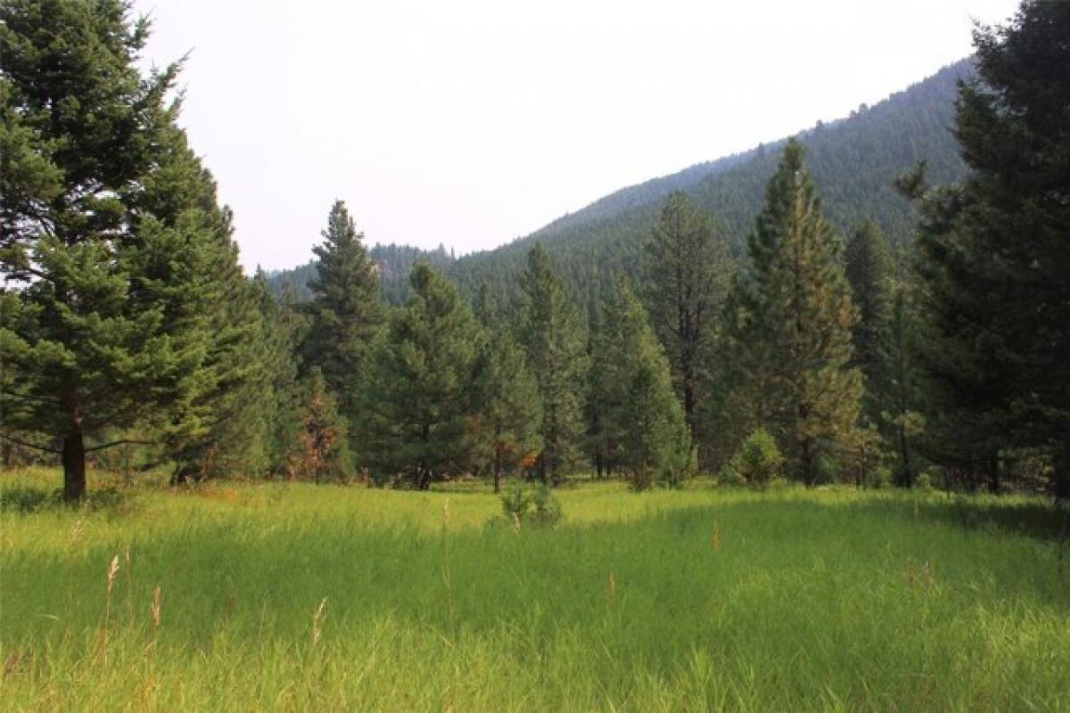 Picture of Residential Land For Sale in Helena, Montana, United States