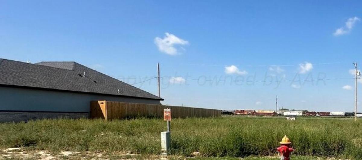 Picture of Residential Land For Sale in Cactus, Texas, United States